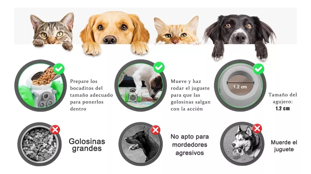 Robot Dispensador De Alimentos