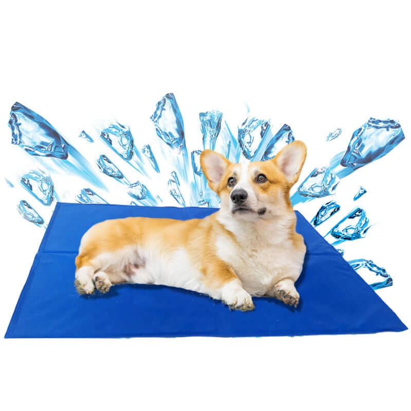 Pet Cooling Mat