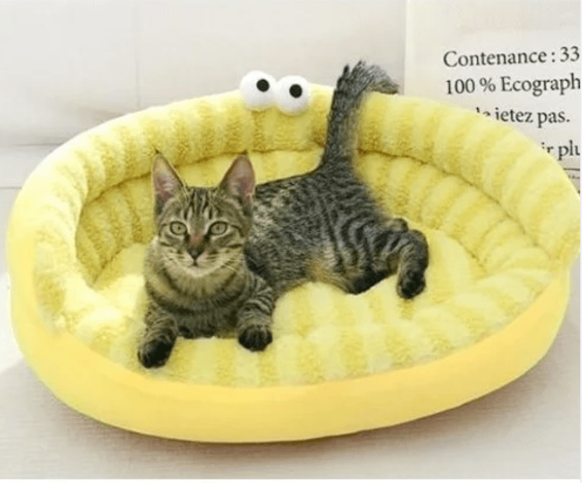 Eye Design Sofa Bed