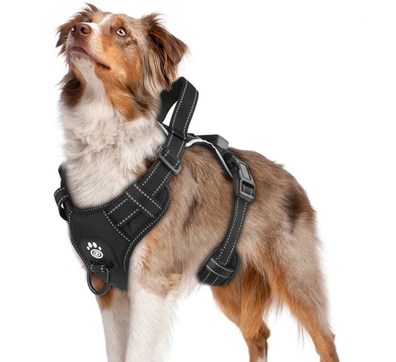 Ergonomic LED Harness