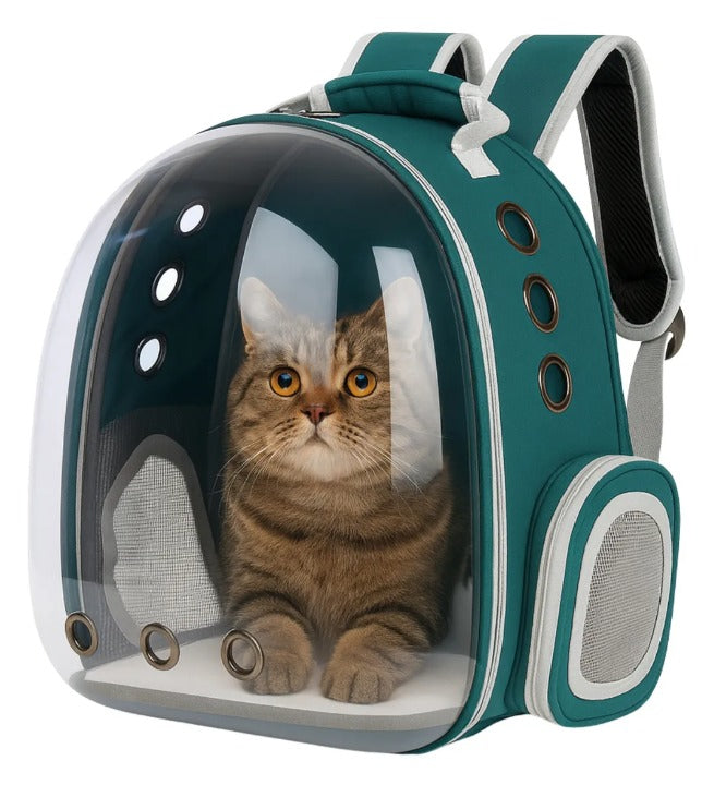 Mochila transportadora