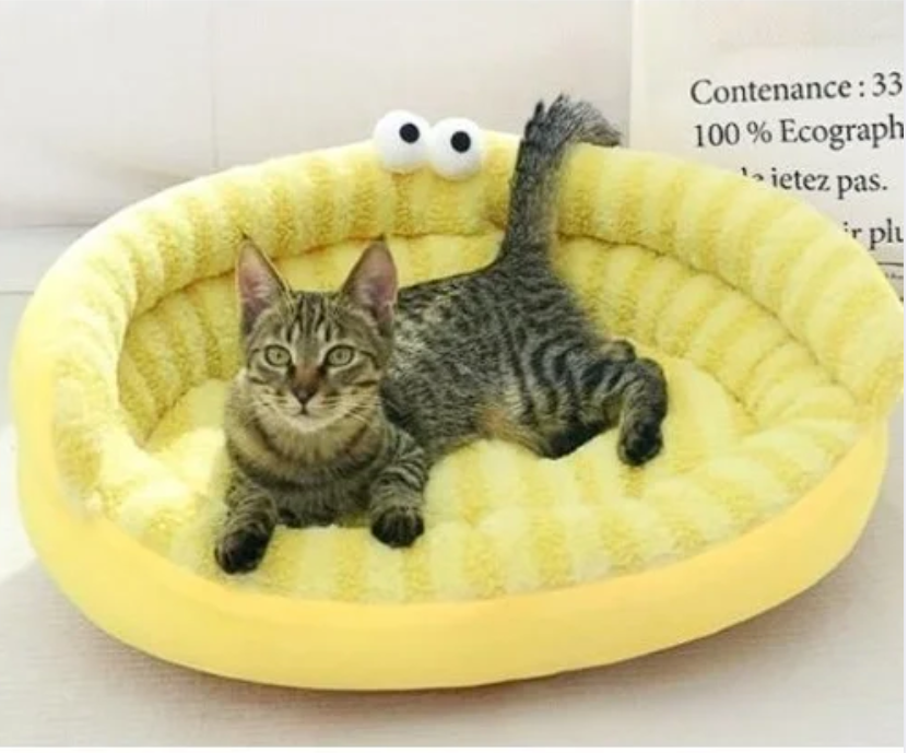 Sofá cama con ojos